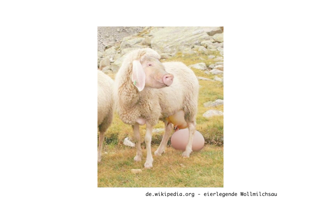 A humorous, fictitious photo of eierlegende Wollmilchsau, a hybrid animal with body parts from a chicken, sheep, cow, and pig.